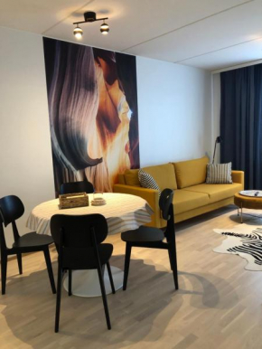 2 rooms, in front of the sea, free parking Oulu